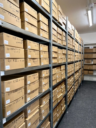 Archivkeller Kartons im Keller des Stadtarchivs © Stadt Springe