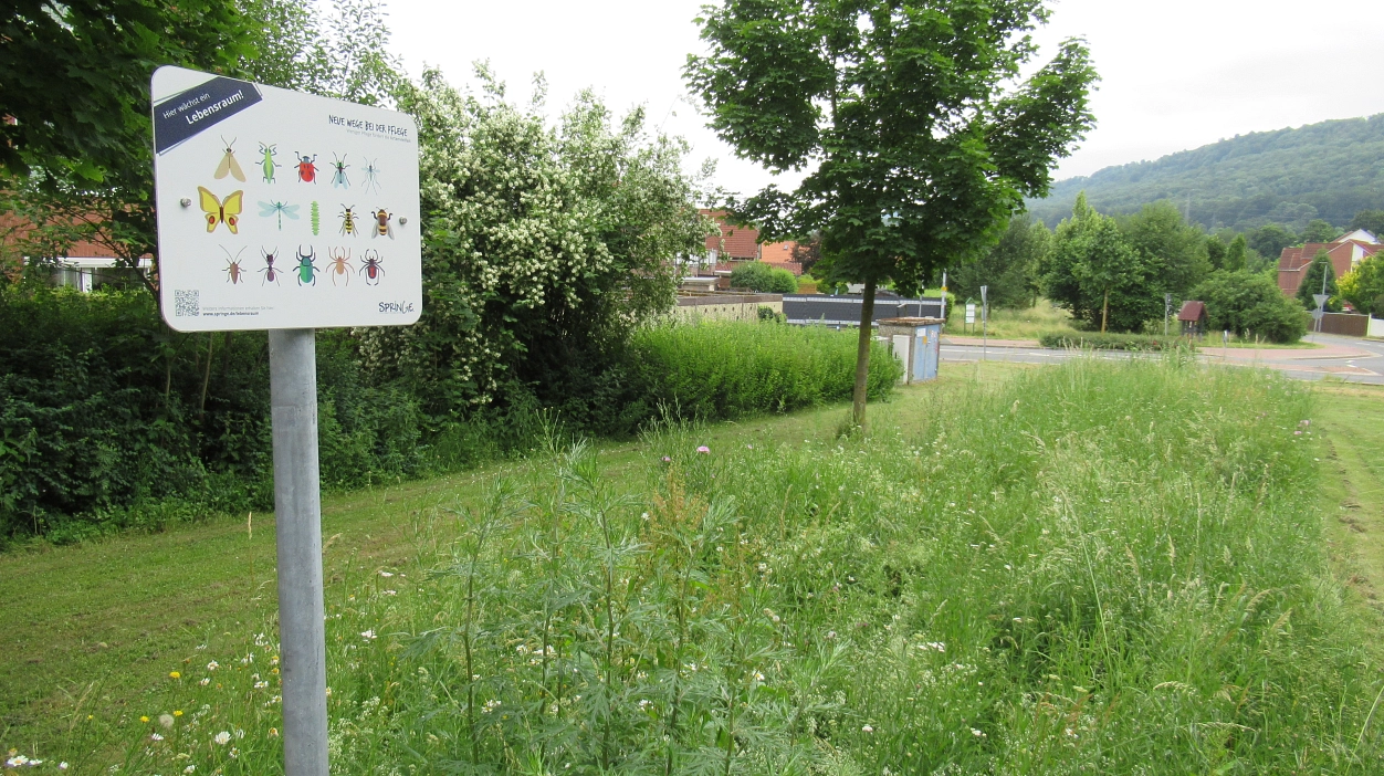 Blühfläche