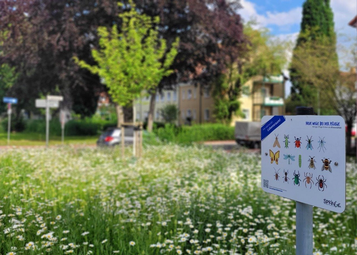 Schild Blühfläche