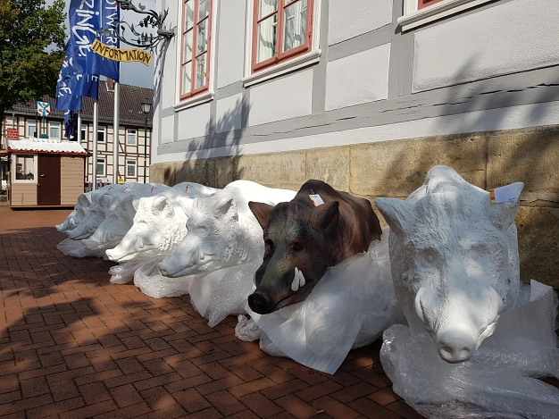 Die Schweine vor dem Alten Rathaus © Stadt Springe