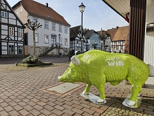 Grünes Schwein auf dem Marktplatz 2026 Grünes Schwein auf dem Marktplatz 2026