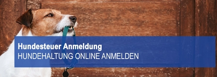 Online Service Hundesteuer Anmeldung © Stadt Springe