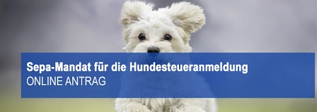 Online Service Sepa Hundesteuer © Stadt Springe