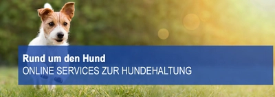 Online Services Rund um den Hund Online Services Rund um den Hund © Stadt Springe