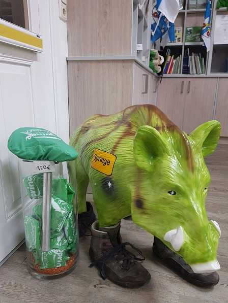 Wander-Wildschwein.jpg